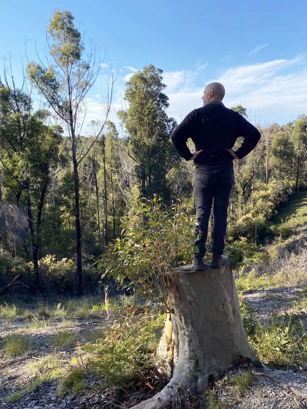 surveying-the-land